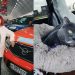 Из Барнаула через Ульяновск: главбух на УАЗе с котом покоряет 15 тысяч км