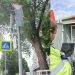 В Ульяновске перенастроили светофоры на Спасской, Гончарова и Урицкого