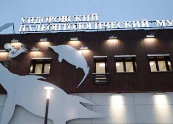 В Ундорах монтируют экспозицию палеонтологического музея