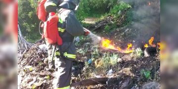 Гектар горящей травы потушили в Ульяновске