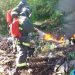 Гектар горящей травы потушили в Ульяновске