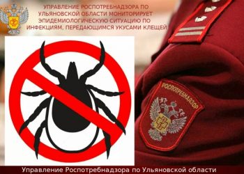 44 ребёнка пострадали от клещей на прошлой неделе в Ульяновской области