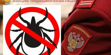 44 ребёнка пострадали от клещей на прошлой неделе в Ульяновской области