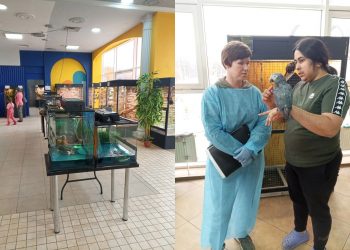 Ульяновские ветеринары проверили 70 видов экзотов на выставке «Живые Тропики»