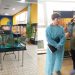 Ульяновские ветеринары проверили 70 видов экзотов на выставке «Живые Тропики»