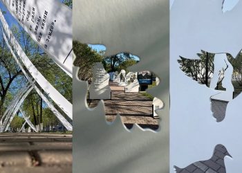 Литературный бульвар на Гончарова работает до конца недели: успейте увидеть