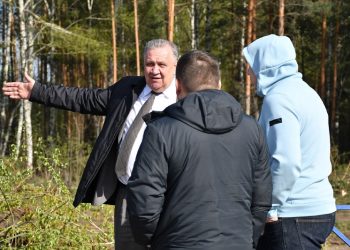 Мэр Димитровграда успокоил жителей по поводу вырубки деревьев у гипермаркета «Лента»