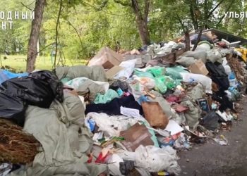 На ликвидацию свалок в Ульяновской области будут искать федеральные средства