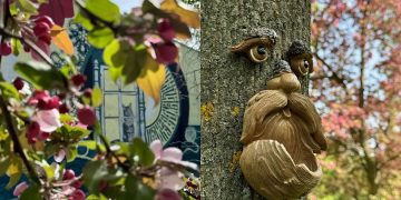 В ульяновском Музее наличников поселились новые обитатели: объявлена «охота»