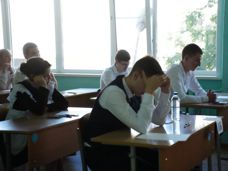 Математика решает всё: 1558 ульяновских выпускников выбрали профильный ЕГЭ