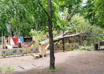 В ульяновском сквере «Современник» дерево рухнуло на детскую площадку