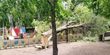 В ульяновском сквере «Современник» дерево рухнуло на детскую площадку