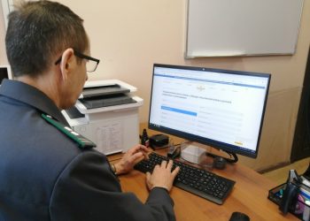 В Ульяновской области продают семена «вне закона»