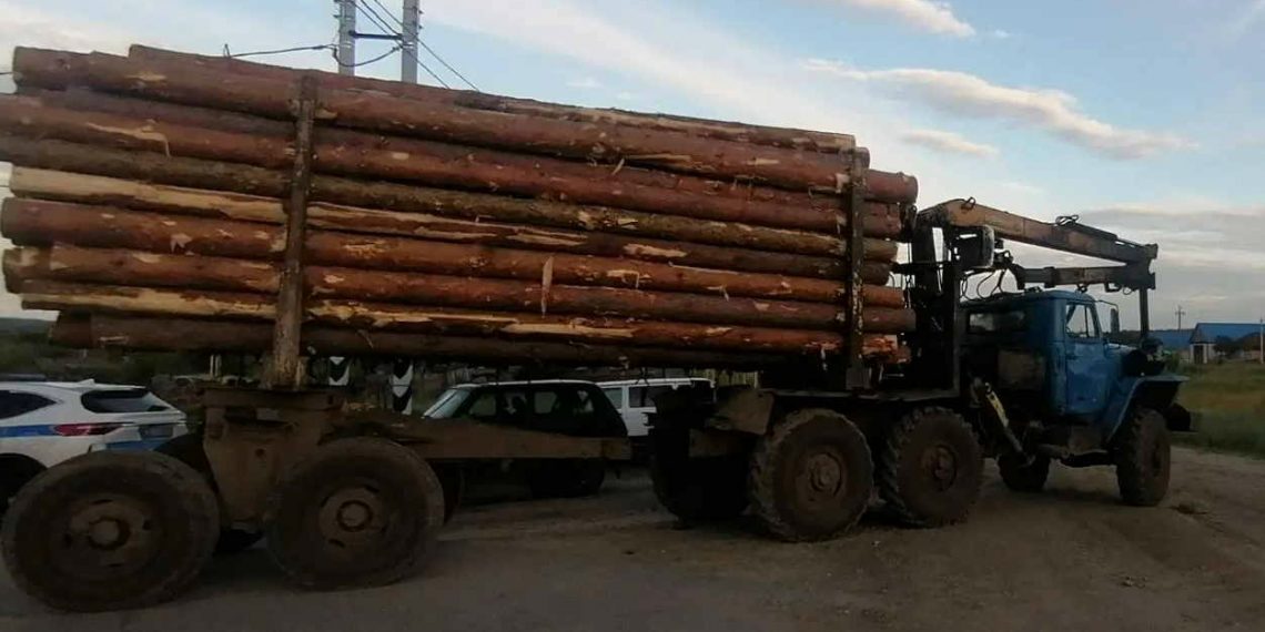 В Николаевском районе пресекли незаконную перевозку древесины