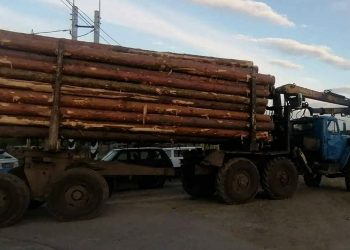 В Николаевском районе выявили незаконную перевозку древесины