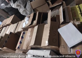 В Ульяновске осудили организатора подпольной торговли табаком на ₽2 млн