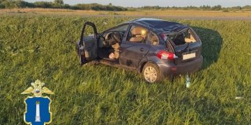 «Калина» улетела в кювет под Ульяновском, водитель — на больничной койке