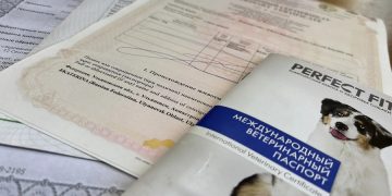 20 домашних животных из Ульяновской области уехали за границу с ветсертификатами
