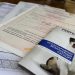 20 домашних животных из Ульяновской области уехали за границу с ветсертификатами