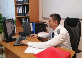 С начала года в Ульяновской области нашли 65 «липовых» деклараций на зерно