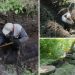 Во «Владимирском саду» меняют противооползневый дренаж