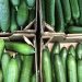 Самые дешёвые огурцы и подсолнечное масло нашлись в Ульяновской области