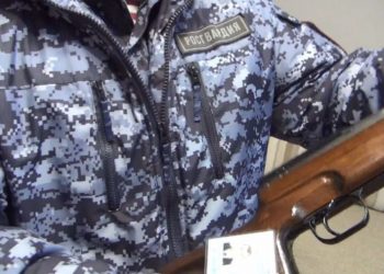 Ульяновцы могут получить до ₽15000 за сдачу незарегистрированного оружия