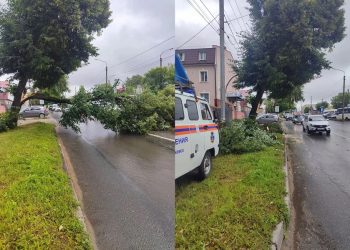 Движение на Урицкого восстановлено: спасатели распилили и вывезли рухнувшее дерево