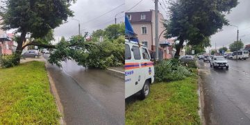 Движение на Урицкого восстановлено: спасатели распилили и вывезли рухнувшее дерево