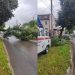 Движение на Урицкого восстановлено: спасатели распилили и вывезли рухнувшее дерево