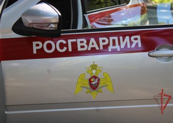 Пьяная жительница Димитровграда открыла стрельбу во дворе