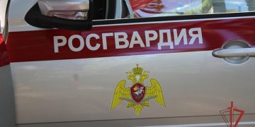 Пьяная жительница Димитровграда открыла стрельбу во дворе