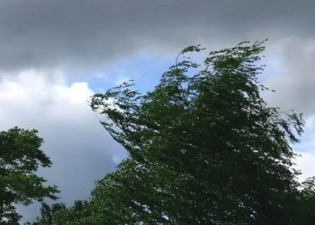 30 июня в Ульяновской области ожидается усиление ветра до 20 м/с
