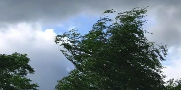 30 июня в Ульяновской области ожидается усиление ветра до 20 м/с
