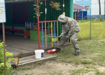 Ульяновские спасатели убрали осиные гнезда с детских площадок