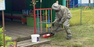 Ульяновские спасатели убрали осиные гнезда с детских площадок