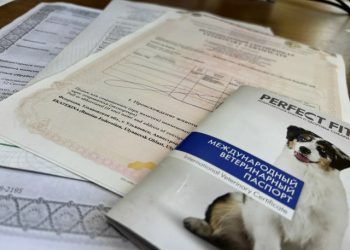 Ульяновская область оформила 44 экспортных ветсертификата на животных с начала года