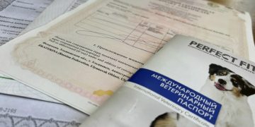 Ульяновская область оформила 44 экспортных ветсертификата на животных с начала года