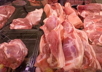 Плюс 56% к прошлому году: за 4 месяца в Ульяновской области произвели 520 тонн свинины