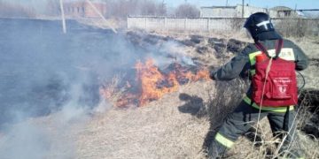Ландшафтный пожар потушили в Заволжье
