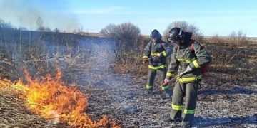В Ульяновске сократилось число пожаров, но выросло количество жертв
