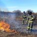 В Ульяновске сократилось число пожаров, но выросло количество жертв