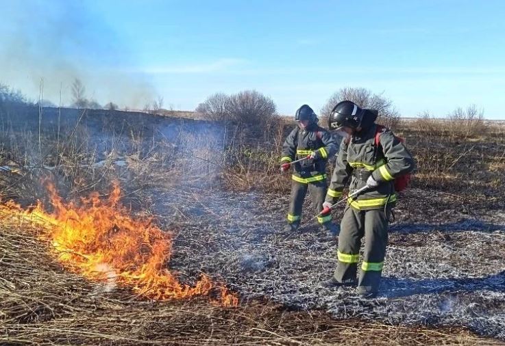 В Ульяновске сократилось количество пожаров, но выросло число жертв
