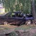 В Димитровграде «Гранта» с подростками врезалась в дерево