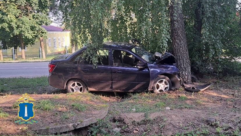 В Димитровграде «Гранта» с подростками врезалась в дерево