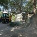 6 торговых павильонов уберут с бульвара Новый Венец в Ульяновске