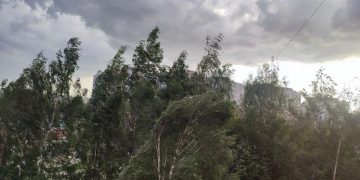 В Ульяновской области 31 июля ожидаются грозы и ветер до 18 м/с