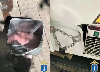 Ульяновец украл и съел алкогольное мороженое на 61 000 рублей