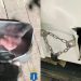 Ульяновец украл и съел алкогольное мороженое на 61 000 рублей