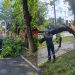 В Ульяновске убрали упавшие деревья